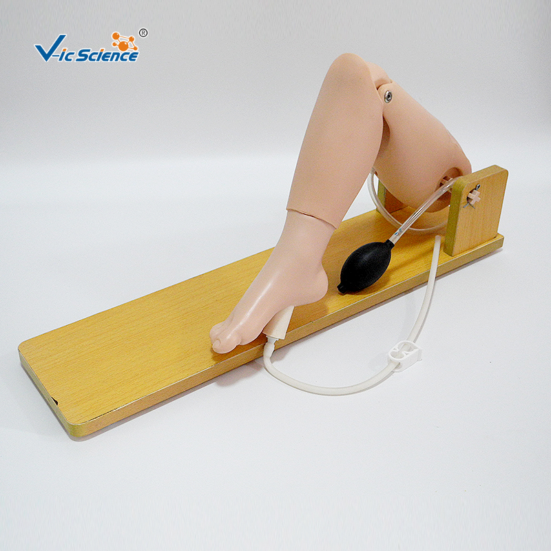 Child Bone Marrow Puncture And Femoral Venous Puncture Model