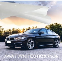 페인트 보호 필름 자동차