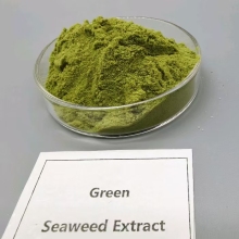 Biostimulant Cold-Processed Seaweed Extract