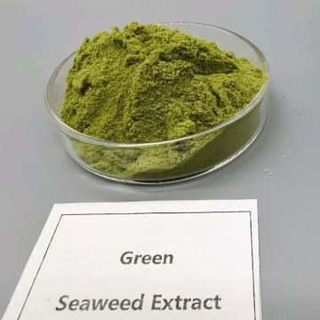 Biostimulant Cold-Processed Seaweed Extract