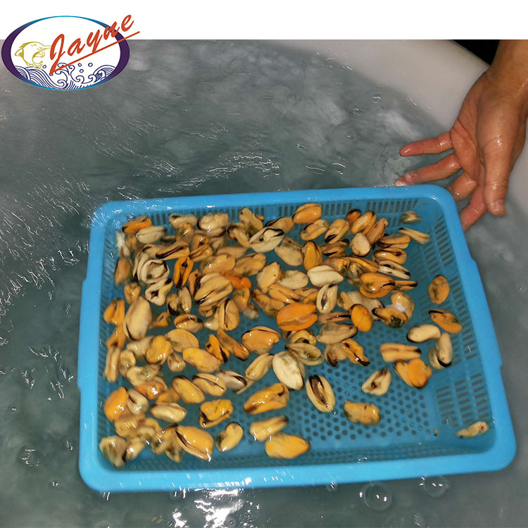High Quality Cooked Whole Freshwater Shells Frozen Snacks Production