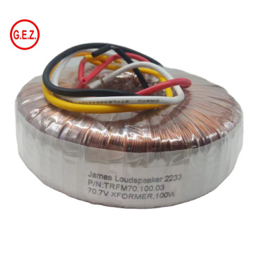 Toroidal Coil Audio Amplifier Power Transformer