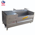 Radish Washer Cleaner Radish Washing Peeling Machine