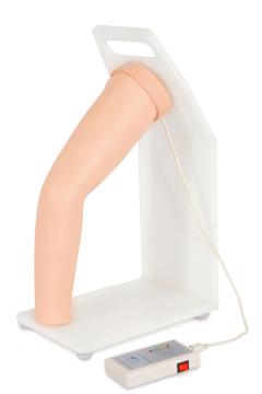 Elbow Joint Cavity Injection Model