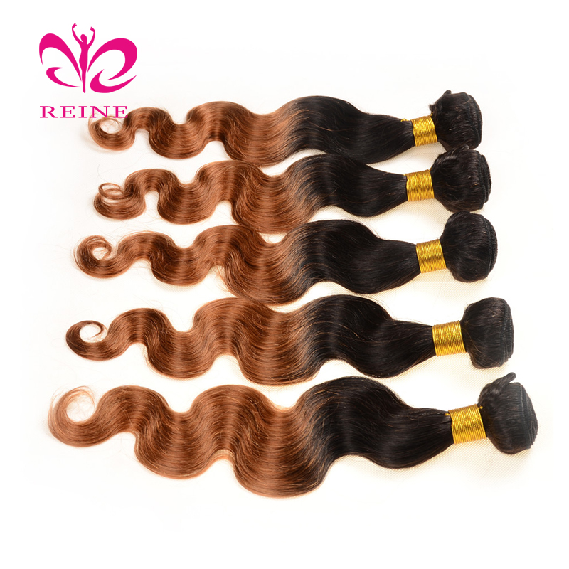 9A Brazilian Virgin Hair Body Wave Bundles REINE Two Tone Ombre Human Hair 1b 30 Color