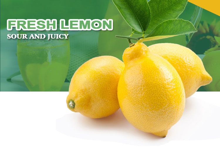 China Wholesale High Quality Fresh Lemon Fresh Citrus Fruit For Sale