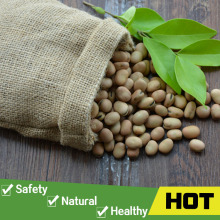 Good price bulk dried broad beans