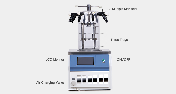 Laboratory Vacuum Small Freeze Dryer/Lyophilizer Price