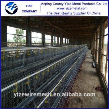 Galvanzied wire chicken laying cage for Zambia farm/Galvanized chicken poultry cage for layer