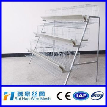 pigeon breeding cage/hot-dippegalvanized pigeon caged/ steel racing pigeon cage