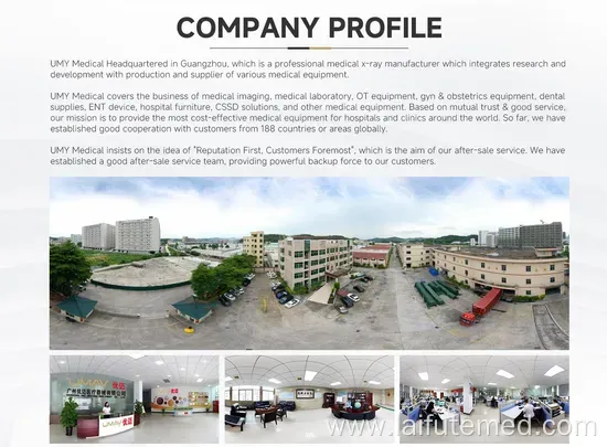 High-Quality Portable ICU Pet Incubator for Veterinary Use