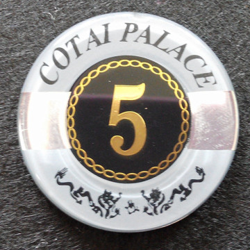 Casino Acrylic Poker Chip,token coin