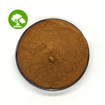 Supply Gynostemma Pentaphyllum Herb Plant Extract 80%