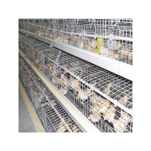 China Factory Custom Design Automatic Broiler Coop and Chicken Cages