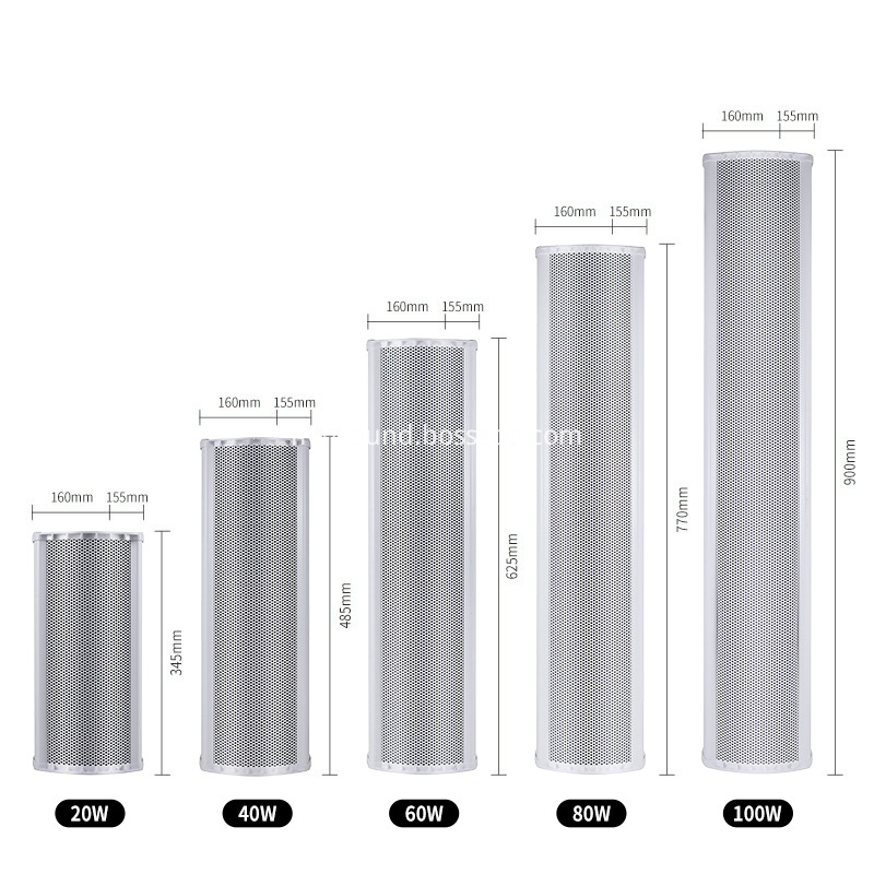 Two Way Column speaker