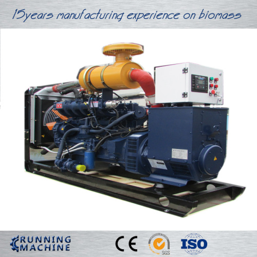 Gas powered Generator und Biogas generator