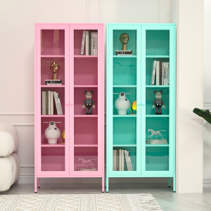 Storage Cabinet with Tempered Glass Display Cabinet