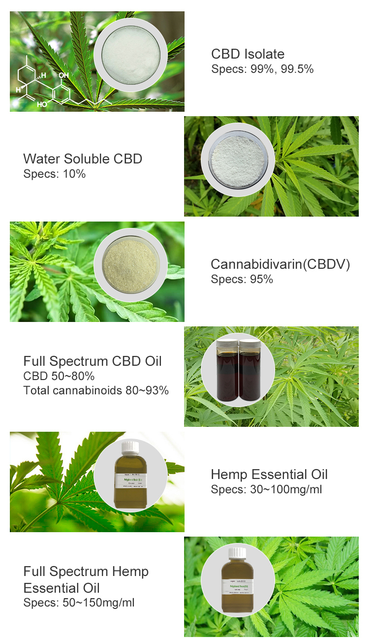 Insen Supply High Quality 90% and 95% Cannabidivarine CBDV Isolate