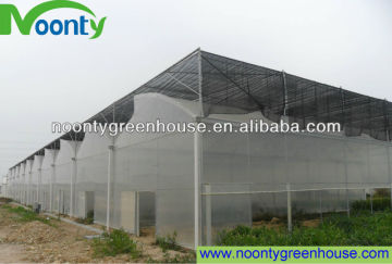 Polythene Greenhouse