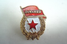 Gold 3D Military Safety Pin Badges Police Badges