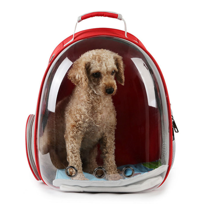 Bubble Dog Backpacks