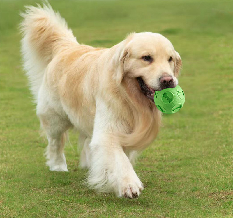 Pet Ball Interactive Dog Toy Ball