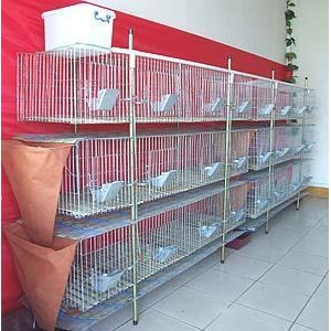 High  Quality Hot sell Easy Clean Rabbit Cage(Factory)