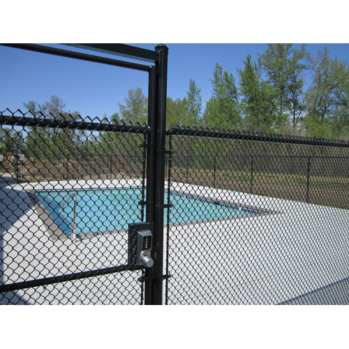 Green PVC Coated Chain Link Fence Netting