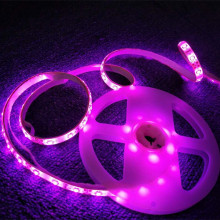 LED Double Body Sensor Bed Light