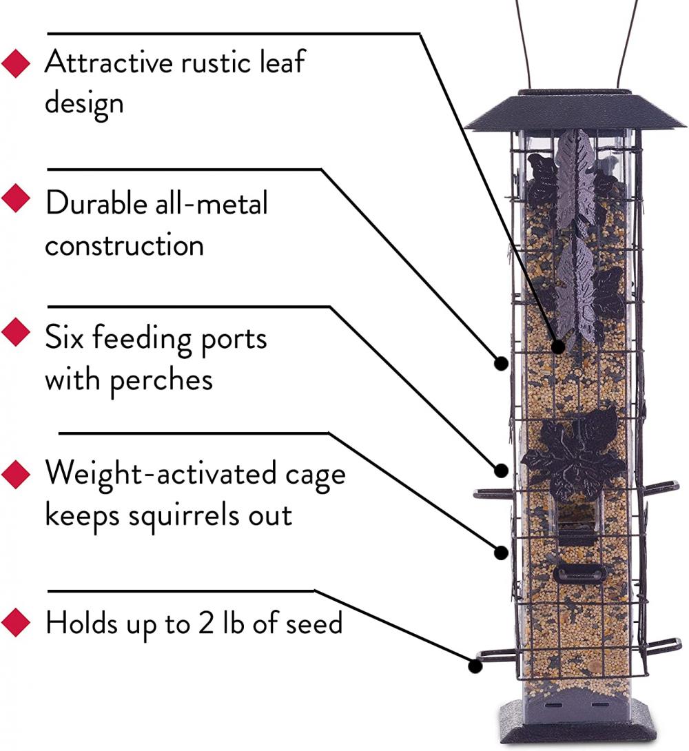 Bukti Tupai Feeder Burung Hanging