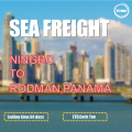 Service de fret océanique de Ningbo à Rodman Panama