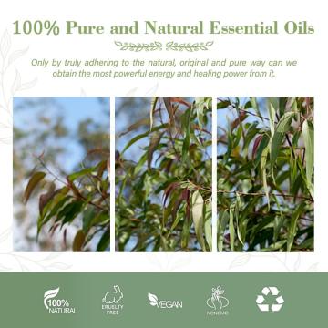 Wholesale Pure Lemon Eucalyptus Essential Oil For Soap Candle