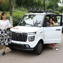 Cheaper Mini New Energy Vehicles Chines Electric Vehicle