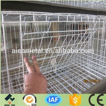 professional layer chicken coop for chicken farm