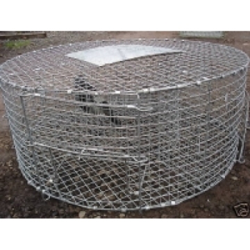 Live Bird Traps for Magpies Pigeons Crows Sparrows