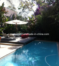 Backyard Swimming Pool