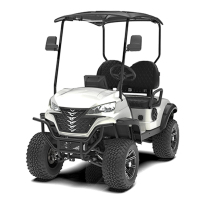 48V Electric Golf Cart All-Terrain Tires by Lvcci and Kingwoo for Resorts