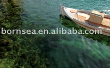 sightseeing canvas prints