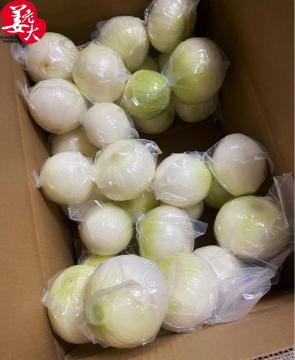 2020 Crop Red Onion Yellow Onion Fresh Onion Top Quality