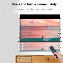 Hidden ceiling electric lifting projection screen