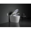 Sanitary Ware Floor Mounted One-Piece Intelligent Toilet