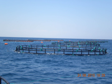 HDPE Circular Trout Net Cages Tunisia Farms