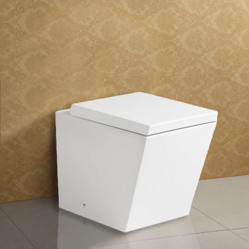 Contemporary White Ceramic Sitting WC Pan with Concealed Cistern