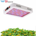 Grow light indoor herb garden 600w