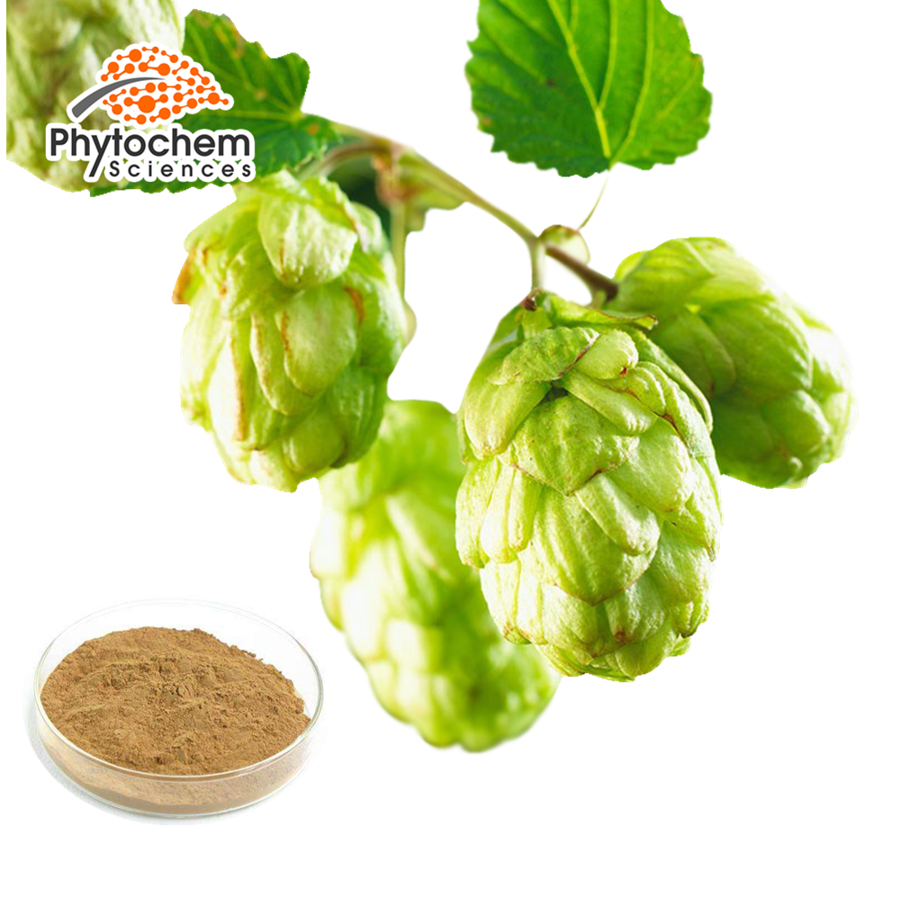 Humulus lupulus lupulin Xanthohumol Flavonoids powder hops flower extract beer hops