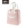Aluminum foil insulated lunch box bag Student cute lunch bag Oxford cloth bento bag