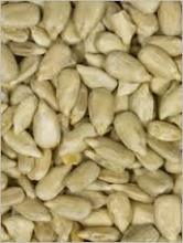 sunflower kernels from factory sunflower seeds for bird feeding organic sunflower seeds kernels