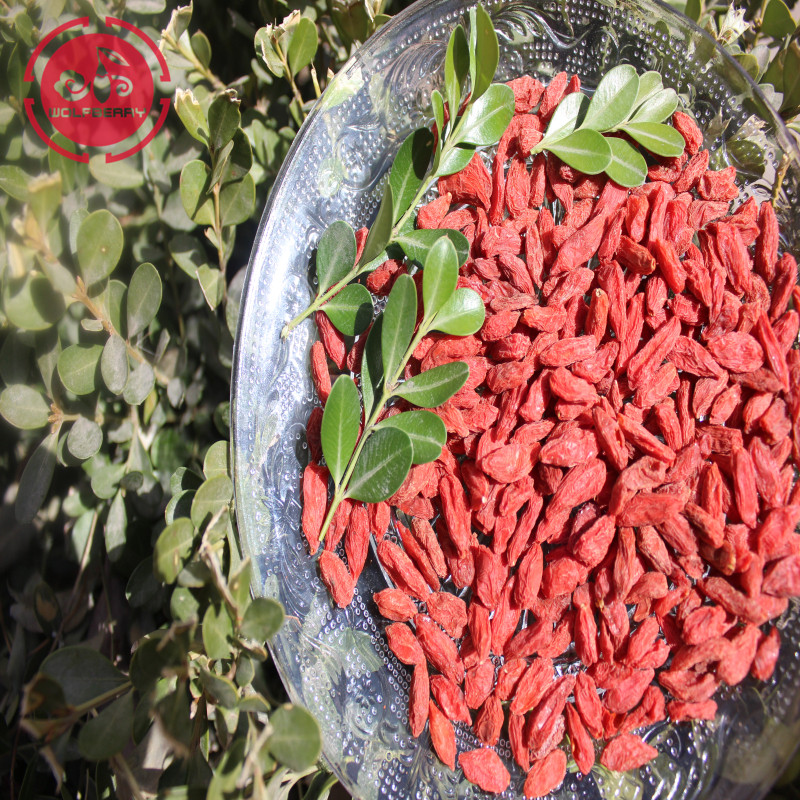 Superfood anti-âge Protéger les baies de goji de la vue