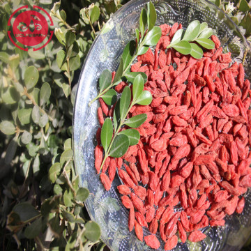 Anti-Aging Superfood  Protect Eyesight organic goji berries