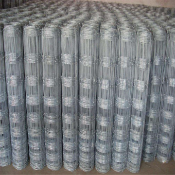 Factory direct sale galvanized field fence